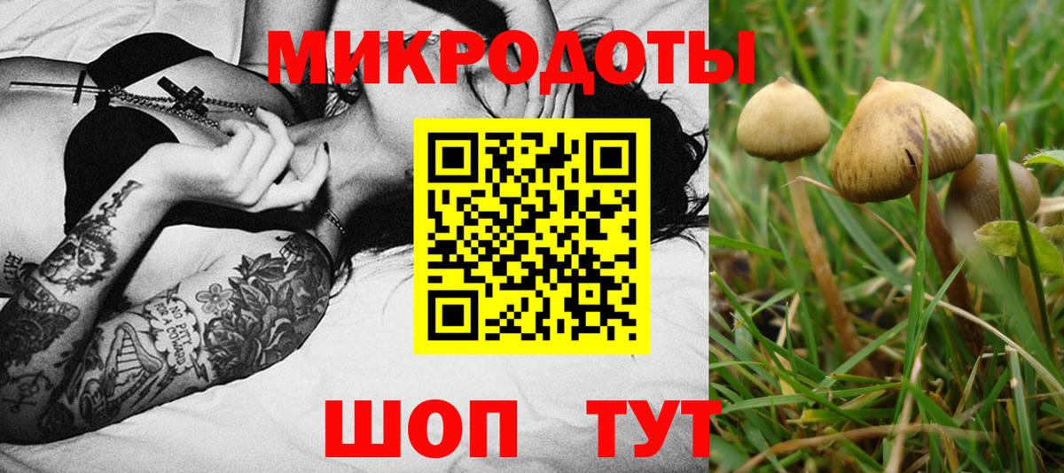 Псилоцибиновые грибы GOLDEN TEACHER  Псилоцибиновые грибы Psilocybe  Вход с VPN  Ростов-на-Дону 