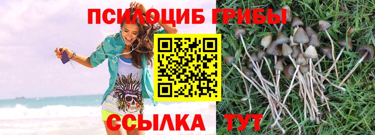 Галлюциногенные грибы Cubensis Ростов-на-Дону